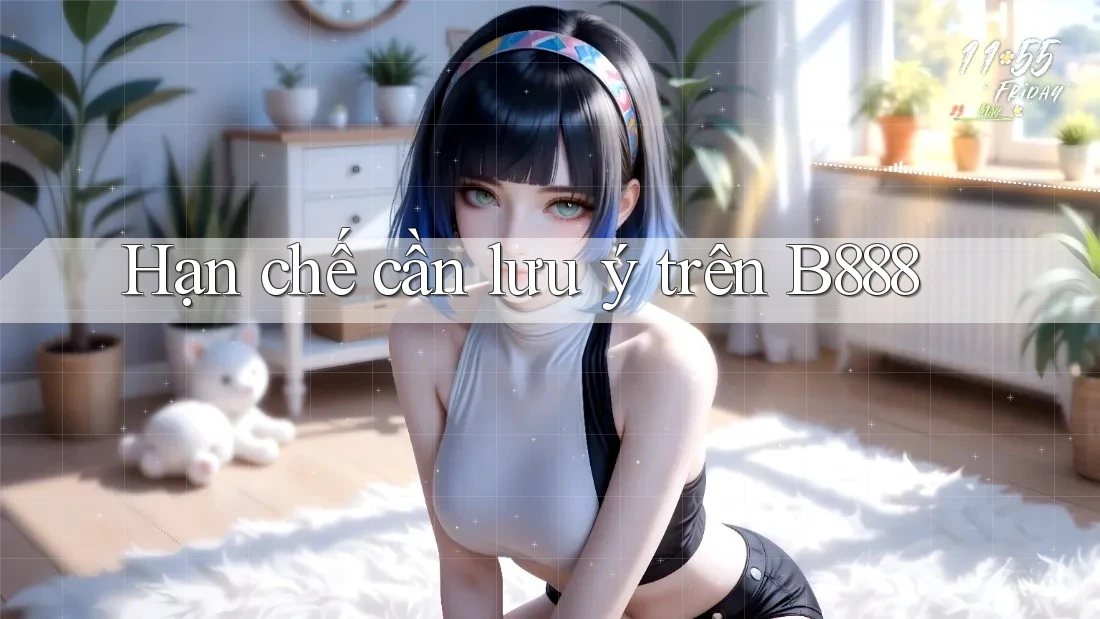 Hạn chế cần lưu ý trên B888 Hạn chế cần lưu ý trên B888