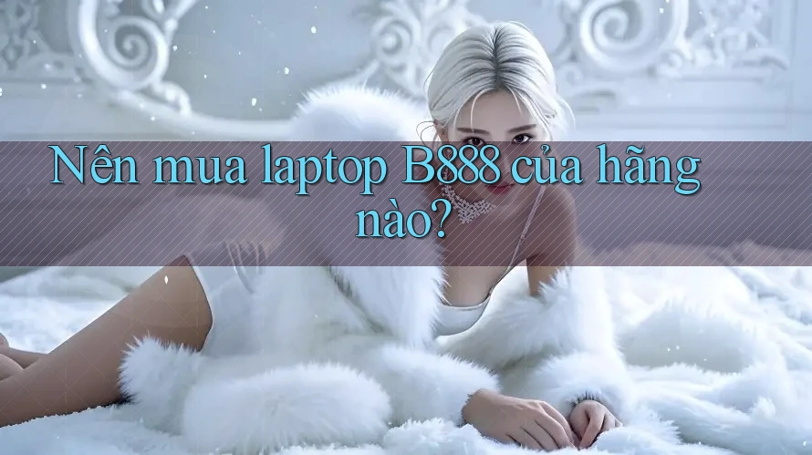 Nên mua laptop B888 của hãng nào?