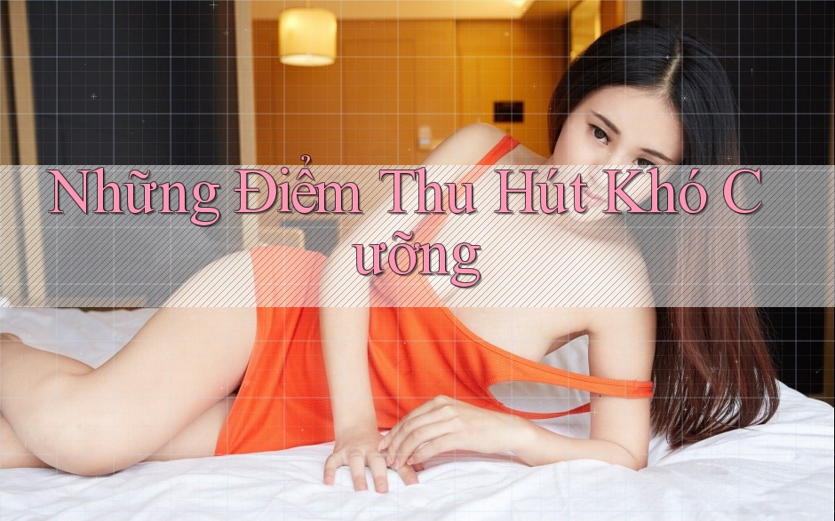 Những Điểm Thu Hút Khó Cưỡng